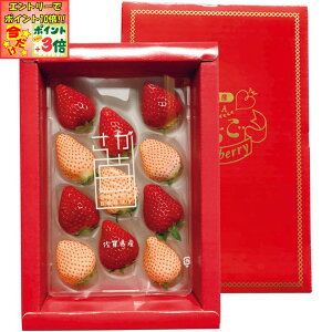 |Cg3{Gg[ōX+10{!!y~̑́zꌧYgiW×jϔ