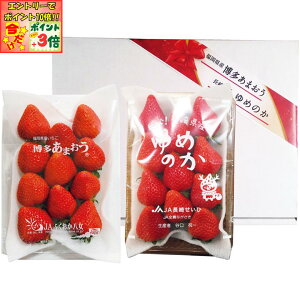 |Cg3{Gg[ōX+10{!!y~̑́zYE茧Y܂䕁E߂̂䕔