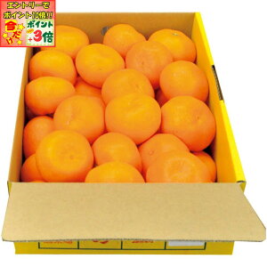 |Cg3{Gg[ōX+10{!!y~̑́za̎RLcYLc݂MTCY