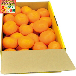 |Cg3{Gg[ōX+10{!!y~̑́za̎RLcYLc݂LTCY