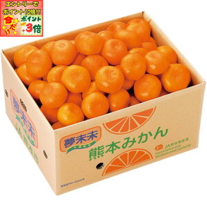 |Cg3{Gg[ōX+10{!!y~̑́zF{Y݂