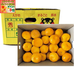 |Cg3{Gg[ōX+10{!!y~̑́zF{Y ̃}݂iGiAv5kgȏj