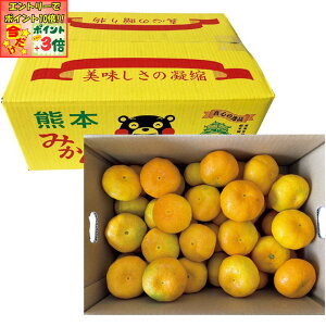 |Cg3{Gg[ōX+10{!!y~̑́zF{Y ̃}݂iDiAv5kgȏj