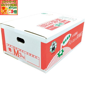 |Cg3{Gg[ōX+10{!!y~̑́zF{Yi呺_j呺_̓V݂3kg