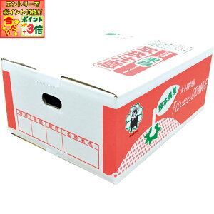 |Cg3{Gg[ōX+10{!!y~̑́zF{Yi呺_j呺_̓V݂5kg