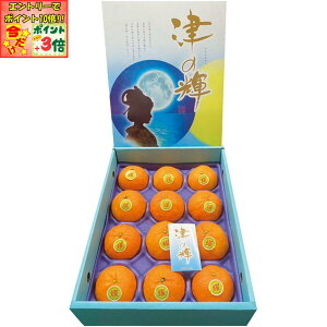 |Cg3{Gg[ōX+10{!!y~̑́zꌧYÔVPiϔj