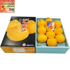 |Cg3{Gg[ōX+10{!!y~̑́zꌧYiÔ_ƋgjfR|