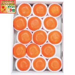 |Cg3{Gg[ōX+10{!!y~̑́zF{Ysʎ݂̂͂