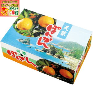 |Cg3{Gg[ōX+10{!!y~̑́zF{YV|Ji2LTCYA30j