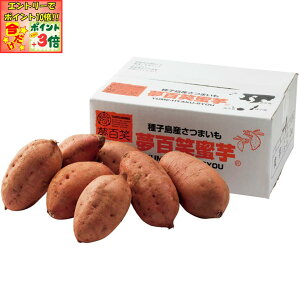 |Cg3{Gg[ōX+10{!!y~̑́zYq S[2kg