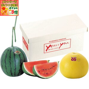 |Cg3{Gg[ōX+10{!!y~̑́zF{YӔMÊ Zbg