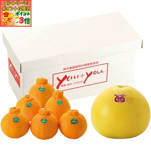 |Cg3{Gg[ōX+10{!!y~̑́zF{YӔMEfR|Zbg