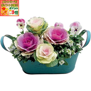 |Cg3{Gg[ōX+10{!!y~̑́zԂ̊C~̊񂹐AuLovely DayviSUSTEEtj