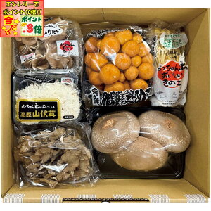 |Cg3{Gg[ōX+10{!!y~̑́zOcƂ̂̂Zbg