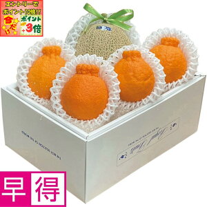 |Cg3{Gg[ōX+10{!!y~̑̑zmYEF{YA[XfR|iA[X1AfR|4j