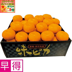 |Cg3{Gg[ōX+10{!!y~̑̑zQYiJAɂ㋤IjsJ݂ GiAMLTCYAv5kgȏ