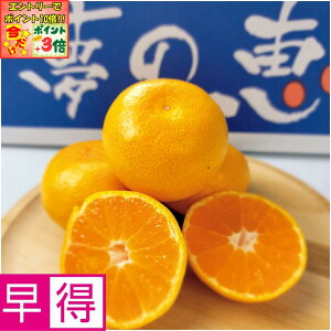 |Cg3{Gg[ōX+10{!!y~̑̑zF{Y݂ ̌b SMTCYAv2D8kgȏ