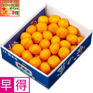 |Cg3{Gg[ōX+10{!!y~̑̑zF{Y݂ ̌b SMTCYAv4kgȏ