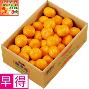 |Cg3{Gg[ōX+10{!!y~̑̑zF{Y݂ SMLTCYAv4kgȏ