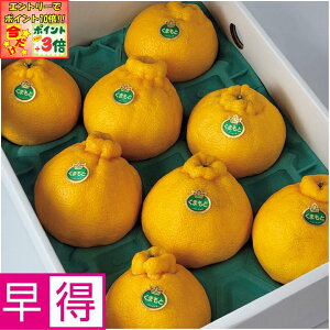 |Cg3{Gg[ōX+10{!!y~̑̑zF{YfR| 8`12Av3kgȏAl