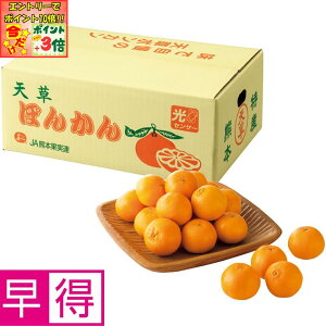 |Cg3{Gg[ōX+10{!!y~̑̑zF{YV|J MLTCYAv3D5kgȏ