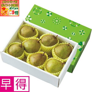 |Cg3{Gg[ōX+10{!!y~̑̑zR`Y gbvǒb݃EtX GiA2LTCYȏA5[7Av2kgȏ