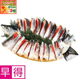 |Cg3{Gg[ōX+10{!!y~̑̑zkCkCY g̎RЂ1D6kgihj