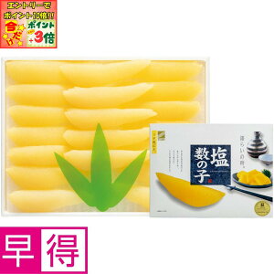 |Cg3{Gg[ōX+10{!!y~̑̑zkC aHiނ̎q