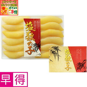 |Cg3{Gg[ōX+10{!!y~̑̑zkCMt[Y̎q