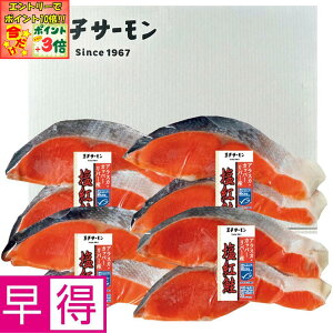 |Cg3{Gg[ōX+10{!!y~̑̑zqT[MSCF AXJYJbp[o[gؐg8؂Zbg