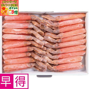 |Cg3{Gg[ōX+10{!!y~̑̑ziY킢ɂԂԁEhgp800g