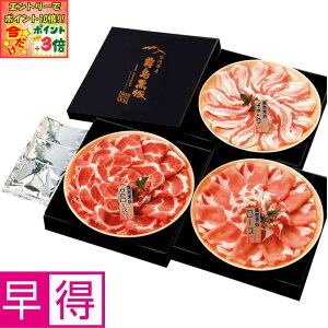 |Cg3{Gg[ōX+10{!!y~̑̑z؂Ԃ3Hׂ׃Zbg