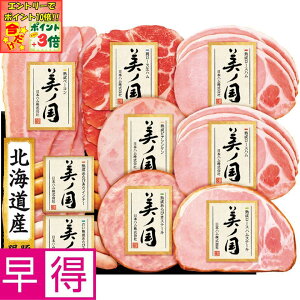 |Cg3{Gg[ōX+10{!!y~̑̑z{nkC v~A m ^ԁFUKH-58