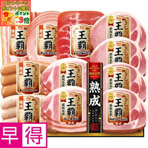 |Cg3{Gg[ōX+10{!!y~̑̑zۑHie ^ԁFMO-500