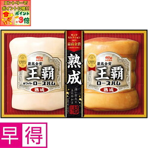 |Cg3{Gg[ōX+10{!!y~̑̑zۑHie ^ԁFMO-502