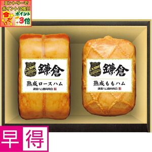 |Cg3{Gg[ōX+10{!!y~̑̑zqnxqnx̏nl