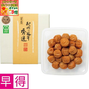 |Cg3{Gg[ōX+10{!!y~̑̑zgmn^IBY썂~݂͂~ 3