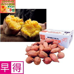 |Cg3{Gg[ōX+10{!!y~̑̑zYq S[3kgipj