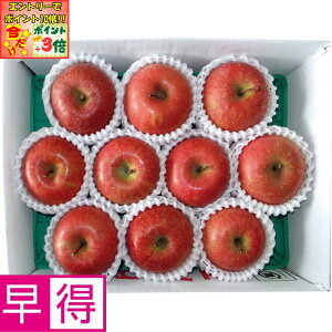 |Cg3{Gg[ōX+10{!!y~̑̑zXYxIʁETӂ񂲓I2D5kg