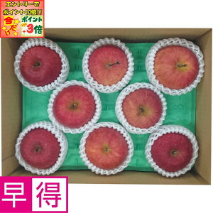 |Cg3{Gg[ōX+10{!!y~̑̑zXYxIʁETӂ2kg