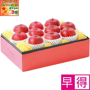 |Cg3{Gg[ōX+10{!!y~̑̑zXYTӂ񂲁iGiALTCY10j