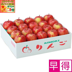 |Cg3{Gg[ōX+10{!!y~̑̑zXY킯tƂ炸͔|Tӂ