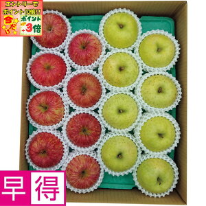 |Cg3{Gg[ōX+10{!!y~̑̑zXYTӂ񂲁EB