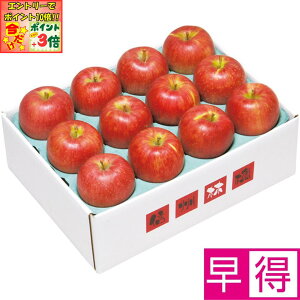 |Cg3{Gg[ōX+10{!!y~̑̑z쌧YiJAȂ̎RmnjTӂ