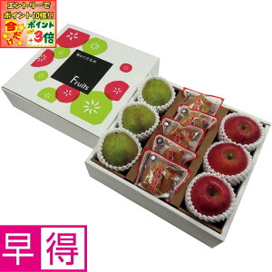 |Cg3{Gg[ōX+10{!!y~̑̑zR`YEtXƃTӂ񂲁AYۊ`l