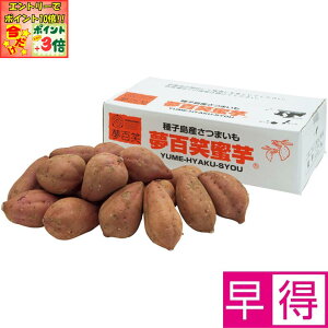 |Cg3{Gg[ōX+10{!!y~̑̑zYq S[5kg