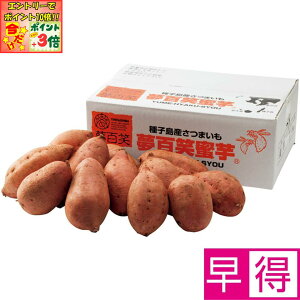 |Cg3{Gg[ōX+10{!!y~̑̑zYq S[3kg