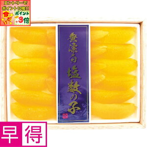 |Cg3{Gg[ōX+10{!!y~̑̑zkC oVYY̎q