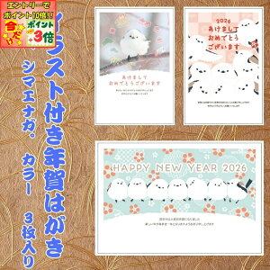 |Cg3{Gg[ōX+10{!!yt^oNpbNz CXgtN͂ ڂAV}GiKB J[i3j