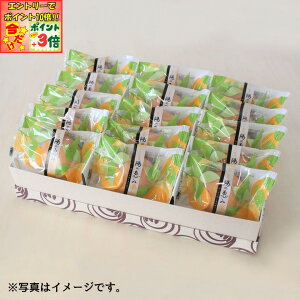 |Cg3{Gg[ōX+10{!!yʉؓz݂\žb 15 ݂ \  aَq aَq aَqv[g  䓖nَq É